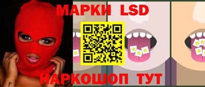 спиды Гай