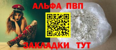 спиды Гай