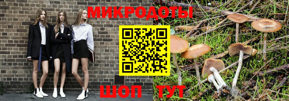Псилоцибиновые грибы Magic Shrooms Серов