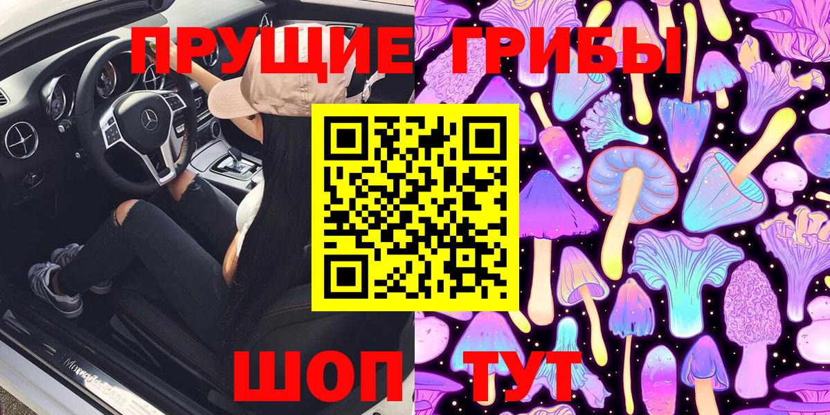 Серов  Псилоцибиновые грибы Psilocybe  купить закладку  Вход с VPN 
