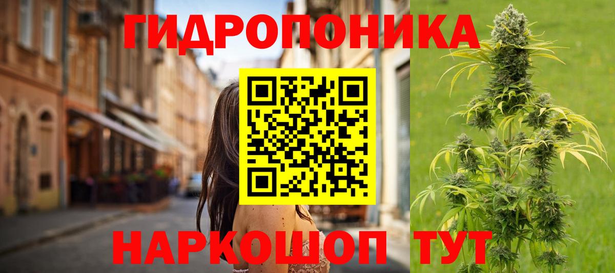 Бошки Шишки THC 21%  Вход с VPN  Бошки марихуана планчик  Каннабис ГИДРОПОН  Серов  Канабис сатива 